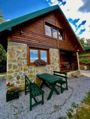 Mountain Star House